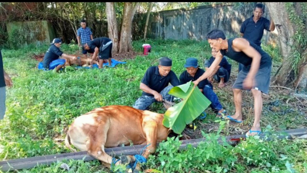 Hari Raya Qurban 2024